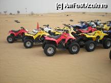 [P50] se puteau inchiria atv » foto by fighter
 - 
<span class="allrVoted glyphicon glyphicon-heart hidden" id="av315042"></span>
<a class="m-l-10 hidden" id="sv315042" onclick="voting_Foto_DelVot(,315042,3199)" role="button">șterge vot <span class="glyphicon glyphicon-remove"></span></a>
<a id="v9315042" class=" c-red"  onclick="voting_Foto_SetVot(315042)" role="button"><span class="glyphicon glyphicon-heart-empty"></span> <b>LIKE</b> = Votează poza</a> <img class="hidden"  id="f315042W9" src="/imagini/loader.gif" border="0" /><span class="AjErrMes hidden" id="e315042ErM"></span>