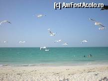 [P53] plaja jumeirah » foto by fighter
 - 
<span class="allrVoted glyphicon glyphicon-heart hidden" id="av315049"></span>
<a class="m-l-10 hidden" id="sv315049" onclick="voting_Foto_DelVot(,315049,3199)" role="button">șterge vot <span class="glyphicon glyphicon-remove"></span></a>
<a id="v9315049" class=" c-red"  onclick="voting_Foto_SetVot(315049)" role="button"><span class="glyphicon glyphicon-heart-empty"></span> <b>LIKE</b> = Votează poza</a> <img class="hidden"  id="f315049W9" src="/imagini/loader.gif" border="0" /><span class="AjErrMes hidden" id="e315049ErM"></span>