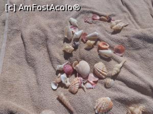 [P18]  -- <small>// FĂRĂ DESCRIERE</small> » foto by iancusabin
 - 
<span class="allrVoted glyphicon glyphicon-heart hidden" id="av835741"></span>
<a class="m-l-10 hidden" id="sv835741" onclick="voting_Foto_DelVot(,835741,3199)" role="button">șterge vot <span class="glyphicon glyphicon-remove"></span></a>
<a id="v9835741" class=" c-red"  onclick="voting_Foto_SetVot(835741)" role="button"><span class="glyphicon glyphicon-heart-empty"></span> <b>LIKE</b> = Votează poza</a> <img class="hidden"  id="f835741W9" src="/imagini/loader.gif" border="0" /><span class="AjErrMes hidden" id="e835741ErM"></span>