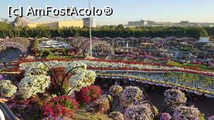 [P24]  -- <small>// FĂRĂ DESCRIERE</small> » foto by iancusabin
 - 
<span class="allrVoted glyphicon glyphicon-heart hidden" id="av835747"></span>
<a class="m-l-10 hidden" id="sv835747" onclick="voting_Foto_DelVot(,835747,3199)" role="button">șterge vot <span class="glyphicon glyphicon-remove"></span></a>
<a id="v9835747" class=" c-red"  onclick="voting_Foto_SetVot(835747)" role="button"><span class="glyphicon glyphicon-heart-empty"></span> <b>LIKE</b> = Votează poza</a> <img class="hidden"  id="f835747W9" src="/imagini/loader.gif" border="0" /><span class="AjErrMes hidden" id="e835747ErM"></span>