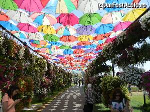 [P32] Prin Miracle Garden » foto by Maria V.
 - 
<span class="allrVoted glyphicon glyphicon-heart hidden" id="av506964"></span>
<a class="m-l-10 hidden" id="sv506964" onclick="voting_Foto_DelVot(,506964,3199)" role="button">șterge vot <span class="glyphicon glyphicon-remove"></span></a>
<a id="v9506964" class=" c-red"  onclick="voting_Foto_SetVot(506964)" role="button"><span class="glyphicon glyphicon-heart-empty"></span> <b>LIKE</b> = Votează poza</a> <img class="hidden"  id="f506964W9" src="/imagini/loader.gif" border="0" /><span class="AjErrMes hidden" id="e506964ErM"></span>