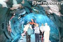 [P16] Tunelul de sub acvariu..preilej de intalnire cu rechinii » foto by liviadavidescu
 - 
<span class="allrVoted glyphicon glyphicon-heart hidden" id="av323691"></span>
<a class="m-l-10 hidden" id="sv323691" onclick="voting_Foto_DelVot(,323691,3199)" role="button">șterge vot <span class="glyphicon glyphicon-remove"></span></a>
<a id="v9323691" class=" c-red"  onclick="voting_Foto_SetVot(323691)" role="button"><span class="glyphicon glyphicon-heart-empty"></span> <b>LIKE</b> = Votează poza</a> <img class="hidden"  id="f323691W9" src="/imagini/loader.gif" border="0" /><span class="AjErrMes hidden" id="e323691ErM"></span>