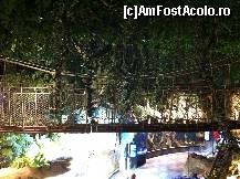 [P30] o mica jungla tot in Dubai Aquarium » foto by Angelinne
 - 
<span class="allrVoted glyphicon glyphicon-heart hidden" id="av331136"></span>
<a class="m-l-10 hidden" id="sv331136" onclick="voting_Foto_DelVot(,331136,3199)" role="button">șterge vot <span class="glyphicon glyphicon-remove"></span></a>
<a id="v9331136" class=" c-red"  onclick="voting_Foto_SetVot(331136)" role="button"><span class="glyphicon glyphicon-heart-empty"></span> <b>LIKE</b> = Votează poza</a> <img class="hidden"  id="f331136W9" src="/imagini/loader.gif" border="0" /><span class="AjErrMes hidden" id="e331136ErM"></span>