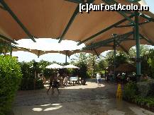 [P22] unul din restaurantele de la Aquaventure » foto by Angelinne
 - 
<span class="allrVoted glyphicon glyphicon-heart hidden" id="av331177"></span>
<a class="m-l-10 hidden" id="sv331177" onclick="voting_Foto_DelVot(,331177,3199)" role="button">șterge vot <span class="glyphicon glyphicon-remove"></span></a>
<a id="v9331177" class=" c-red"  onclick="voting_Foto_SetVot(331177)" role="button"><span class="glyphicon glyphicon-heart-empty"></span> <b>LIKE</b> = Votează poza</a> <img class="hidden"  id="f331177W9" src="/imagini/loader.gif" border="0" /><span class="AjErrMes hidden" id="e331177ErM"></span>