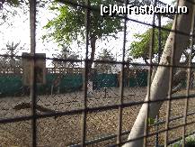 [P31] Dubai Zoo » foto by Angelinne
 - 
<span class="allrVoted glyphicon glyphicon-heart hidden" id="av331186"></span>
<a class="m-l-10 hidden" id="sv331186" onclick="voting_Foto_DelVot(,331186,3199)" role="button">șterge vot <span class="glyphicon glyphicon-remove"></span></a>
<a id="v9331186" class=" c-red"  onclick="voting_Foto_SetVot(331186)" role="button"><span class="glyphicon glyphicon-heart-empty"></span> <b>LIKE</b> = Votează poza</a> <img class="hidden"  id="f331186W9" src="/imagini/loader.gif" border="0" /><span class="AjErrMes hidden" id="e331186ErM"></span>