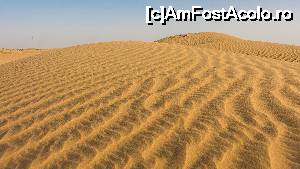 [P01] Peste dune, prin deșert » foto by CosminZichil
 - 
<span class="allrVoted glyphicon glyphicon-heart hidden" id="av700230"></span>
<a class="m-l-10 hidden" id="sv700230" onclick="voting_Foto_DelVot(,700230,3199)" role="button">șterge vot <span class="glyphicon glyphicon-remove"></span></a>
<a id="v9700230" class=" c-red"  onclick="voting_Foto_SetVot(700230)" role="button"><span class="glyphicon glyphicon-heart-empty"></span> <b>LIKE</b> = Votează poza</a> <img class="hidden"  id="f700230W9" src="/imagini/loader.gif" border="0" /><span class="AjErrMes hidden" id="e700230ErM"></span>