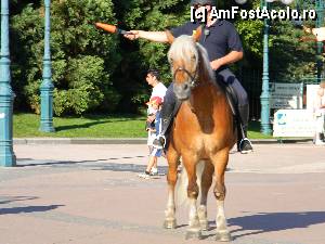 [P02] Cineva, acolo sus, vegheaza, pentru buna desfasurare a traficului. Si pentru orientarea turistilor cu capul in nori » foto by MCM
 - 
<span class="allrVoted glyphicon glyphicon-heart hidden" id="av369556"></span>
<a class="m-l-10 hidden" id="sv369556" onclick="voting_Foto_DelVot(,369556,3203)" role="button">șterge vot <span class="glyphicon glyphicon-remove"></span></a>
<a id="v9369556" class=" c-red"  onclick="voting_Foto_SetVot(369556)" role="button"><span class="glyphicon glyphicon-heart-empty"></span> <b>LIKE</b> = Votează poza</a> <img class="hidden"  id="f369556W9" src="/imagini/loader.gif" border="0" /><span class="AjErrMes hidden" id="e369556ErM"></span>