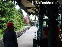 [P04]  -- <small>// FĂRĂ DESCRIERE</small> » foto by bogvoicu
 - 
<span class="allrVoted glyphicon glyphicon-heart hidden" id="av383532"></span>
<a class="m-l-10 hidden" id="sv383532" onclick="voting_Foto_DelVot(,383532,3203)" role="button">șterge vot <span class="glyphicon glyphicon-remove"></span></a>
<a id="v9383532" class=" c-red"  onclick="voting_Foto_SetVot(383532)" role="button"><span class="glyphicon glyphicon-heart-empty"></span> <b>LIKE</b> = Votează poza</a> <img class="hidden"  id="f383532W9" src="/imagini/loader.gif" border="0" /><span class="AjErrMes hidden" id="e383532ErM"></span>