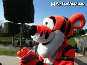 [P14] Intalnirea cu Tigru » foto by cdiana
 - 
<span class="allrVoted glyphicon glyphicon-heart hidden" id="av433059"></span>
<a class="m-l-10 hidden" id="sv433059" onclick="voting_Foto_DelVot(,433059,3203)" role="button">șterge vot <span class="glyphicon glyphicon-remove"></span></a>
<a id="v9433059" class=" c-red"  onclick="voting_Foto_SetVot(433059)" role="button"><span class="glyphicon glyphicon-heart-empty"></span> <b>LIKE</b> = Votează poza</a> <img class="hidden"  id="f433059W9" src="/imagini/loader.gif" border="0" /><span class="AjErrMes hidden" id="e433059ErM"></span>