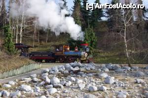 [P30] Imagini din parc, de la diverse obiective » foto by cdiana
 - 
<span class="allrVoted glyphicon glyphicon-heart hidden" id="av433082"></span>
<a class="m-l-10 hidden" id="sv433082" onclick="voting_Foto_DelVot(,433082,3203)" role="button">șterge vot <span class="glyphicon glyphicon-remove"></span></a>
<a id="v9433082" class=" c-red"  onclick="voting_Foto_SetVot(433082)" role="button"><span class="glyphicon glyphicon-heart-empty"></span> <b>LIKE</b> = Votează poza</a> <img class="hidden"  id="f433082W9" src="/imagini/loader.gif" border="0" /><span class="AjErrMes hidden" id="e433082ErM"></span>