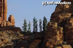 [P31] Imagini din parc, de la diverse obiective » foto by cdiana
 - 
<span class="allrVoted glyphicon glyphicon-heart hidden" id="av433084"></span>
<a class="m-l-10 hidden" id="sv433084" onclick="voting_Foto_DelVot(,433084,3203)" role="button">șterge vot <span class="glyphicon glyphicon-remove"></span></a>
<a id="v9433084" class=" c-red"  onclick="voting_Foto_SetVot(433084)" role="button"><span class="glyphicon glyphicon-heart-empty"></span> <b>LIKE</b> = Votează poza</a> <img class="hidden"  id="f433084W9" src="/imagini/loader.gif" border="0" /><span class="AjErrMes hidden" id="e433084ErM"></span>