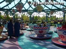 [P13] Stai la coada 30 minute,te invarti 3.Da ce mai conteaza...e frumos. » foto by ROMY
 - 
<span class="allrVoted glyphicon glyphicon-heart hidden" id="av195798"></span>
<a class="m-l-10 hidden" id="sv195798" onclick="voting_Foto_DelVot(,195798,3203)" role="button">șterge vot <span class="glyphicon glyphicon-remove"></span></a>
<a id="v9195798" class=" c-red"  onclick="voting_Foto_SetVot(195798)" role="button"><span class="glyphicon glyphicon-heart-empty"></span> <b>LIKE</b> = Votează poza</a> <img class="hidden"  id="f195798W9" src="/imagini/loader.gif" border="0" /><span class="AjErrMes hidden" id="e195798ErM"></span>