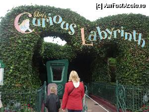 [P13] labirintul » foto by bogdan 75
 - 
<span class="allrVoted glyphicon glyphicon-heart hidden" id="av385092"></span>
<a class="m-l-10 hidden" id="sv385092" onclick="voting_Foto_DelVot(,385092,3203)" role="button">șterge vot <span class="glyphicon glyphicon-remove"></span></a>
<a id="v9385092" class=" c-red"  onclick="voting_Foto_SetVot(385092)" role="button"><span class="glyphicon glyphicon-heart-empty"></span> <b>LIKE</b> = Votează poza</a> <img class="hidden"  id="f385092W9" src="/imagini/loader.gif" border="0" /><span class="AjErrMes hidden" id="e385092ErM"></span>