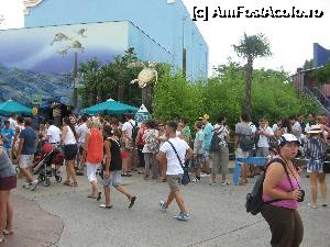 [P28] COADA » foto by gioko
 - 
<span class="allrVoted glyphicon glyphicon-heart hidden" id="av361257"></span>
<a class="m-l-10 hidden" id="sv361257" onclick="voting_Foto_DelVot(,361257,3203)" role="button">șterge vot <span class="glyphicon glyphicon-remove"></span></a>
<a id="v9361257" class=" c-red"  onclick="voting_Foto_SetVot(361257)" role="button"><span class="glyphicon glyphicon-heart-empty"></span> <b>LIKE</b> = Votează poza</a> <img class="hidden"  id="f361257W9" src="/imagini/loader.gif" border="0" /><span class="AjErrMes hidden" id="e361257ErM"></span>