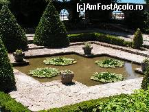 [P23] Superba bucatica de paradis » foto by ionescunic
 - 
<span class="allrVoted glyphicon glyphicon-heart hidden" id="av67367"></span>
<a class="m-l-10 hidden" id="sv67367" onclick="voting_Foto_DelVot(,67367,3210)" role="button">șterge vot <span class="glyphicon glyphicon-remove"></span></a>
<a id="v967367" class=" c-red"  onclick="voting_Foto_SetVot(67367)" role="button"><span class="glyphicon glyphicon-heart-empty"></span> <b>LIKE</b> = Votează poza</a> <img class="hidden"  id="f67367W9" src="/imagini/loader.gif" border="0" /><span class="AjErrMes hidden" id="e67367ErM"></span>