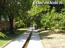 [P28] Canal de irigatii » foto by ionescunic
 - 
<span class="allrVoted glyphicon glyphicon-heart hidden" id="av67372"></span>
<a class="m-l-10 hidden" id="sv67372" onclick="voting_Foto_DelVot(,67372,3210)" role="button">șterge vot <span class="glyphicon glyphicon-remove"></span></a>
<a id="v967372" class=" c-red"  onclick="voting_Foto_SetVot(67372)" role="button"><span class="glyphicon glyphicon-heart-empty"></span> <b>LIKE</b> = Votează poza</a> <img class="hidden"  id="f67372W9" src="/imagini/loader.gif" border="0" /><span class="AjErrMes hidden" id="e67372ErM"></span>