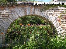 [P08] Gardul imprejmuitor si flori superbe » foto by ionescunic
 - 
<span class="allrVoted glyphicon glyphicon-heart hidden" id="av67352"></span>
<a class="m-l-10 hidden" id="sv67352" onclick="voting_Foto_DelVot(,67352,3210)" role="button">șterge vot <span class="glyphicon glyphicon-remove"></span></a>
<a id="v967352" class=" c-red"  onclick="voting_Foto_SetVot(67352)" role="button"><span class="glyphicon glyphicon-heart-empty"></span> <b>LIKE</b> = Votează poza</a> <img class="hidden"  id="f67352W9" src="/imagini/loader.gif" border="0" /><span class="AjErrMes hidden" id="e67352ErM"></span>