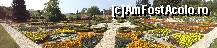 [P10] Panoramica la gradina » foto by gianimary
 - 
<span class="allrVoted glyphicon glyphicon-heart hidden" id="av390737"></span>
<a class="m-l-10 hidden" id="sv390737" onclick="voting_Foto_DelVot(,390737,3210)" role="button">șterge vot <span class="glyphicon glyphicon-remove"></span></a>
<a id="v9390737" class=" c-red"  onclick="voting_Foto_SetVot(390737)" role="button"><span class="glyphicon glyphicon-heart-empty"></span> <b>LIKE</b> = Votează poza</a> <img class="hidden"  id="f390737W9" src="/imagini/loader.gif" border="0" /><span class="AjErrMes hidden" id="e390737ErM"></span>
