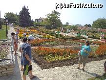 [P07] tot in gradina » foto by gianimary
 - 
<span class="allrVoted glyphicon glyphicon-heart hidden" id="av390734"></span>
<a class="m-l-10 hidden" id="sv390734" onclick="voting_Foto_DelVot(,390734,3210)" role="button">șterge vot <span class="glyphicon glyphicon-remove"></span></a>
<a id="v9390734" class=" c-red"  onclick="voting_Foto_SetVot(390734)" role="button"><span class="glyphicon glyphicon-heart-empty"></span> <b>LIKE</b> = Votează poza</a> <img class="hidden"  id="f390734W9" src="/imagini/loader.gif" border="0" /><span class="AjErrMes hidden" id="e390734ErM"></span>