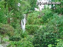 [P07] cascada, un peisaj deosebit » foto by george_bton*
 - 
<span class="allrVoted glyphicon glyphicon-heart hidden" id="av223217"></span>
<a class="m-l-10 hidden" id="sv223217" onclick="voting_Foto_DelVot(,223217,3210)" role="button">șterge vot <span class="glyphicon glyphicon-remove"></span></a>
<a id="v9223217" class=" c-red"  onclick="voting_Foto_SetVot(223217)" role="button"><span class="glyphicon glyphicon-heart-empty"></span> <b>LIKE</b> = Votează poza</a> <img class="hidden"  id="f223217W9" src="/imagini/loader.gif" border="0" /><span class="AjErrMes hidden" id="e223217ErM"></span>