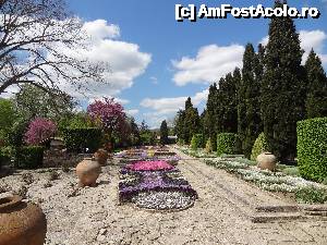 [P13] Imagine din Grădina Botanică - Balcic » foto by Marian Preda
 - 
<span class="allrVoted glyphicon glyphicon-heart hidden" id="av636933"></span>
<a class="m-l-10 hidden" id="sv636933" onclick="voting_Foto_DelVot(,636933,3210)" role="button">șterge vot <span class="glyphicon glyphicon-remove"></span></a>
<a id="v9636933" class=" c-red"  onclick="voting_Foto_SetVot(636933)" role="button"><span class="glyphicon glyphicon-heart-empty"></span> <b>LIKE</b> = Votează poza</a> <img class="hidden"  id="f636933W9" src="/imagini/loader.gif" border="0" /><span class="AjErrMes hidden" id="e636933ErM"></span>