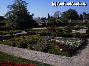 [P01] minunatia de flori » foto by alex_iasi
 - 
<span class="allrVoted glyphicon glyphicon-heart hidden" id="av476284"></span>
<a class="m-l-10 hidden" id="sv476284" onclick="voting_Foto_DelVot(,476284,3210)" role="button">șterge vot <span class="glyphicon glyphicon-remove"></span></a>
<a id="v9476284" class=" c-red"  onclick="voting_Foto_SetVot(476284)" role="button"><span class="glyphicon glyphicon-heart-empty"></span> <b>LIKE</b> = Votează poza</a> <img class="hidden"  id="f476284W9" src="/imagini/loader.gif" border="0" /><span class="AjErrMes hidden" id="e476284ErM"></span>