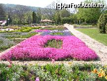 [P23] Balcic - gradina botanica » foto by diana-s
 - 
<span class="allrVoted glyphicon glyphicon-heart hidden" id="av301599"></span>
<a class="m-l-10 hidden" id="sv301599" onclick="voting_Foto_DelVot(,301599,3210)" role="button">șterge vot <span class="glyphicon glyphicon-remove"></span></a>
<a id="v9301599" class=" c-red"  onclick="voting_Foto_SetVot(301599)" role="button"><span class="glyphicon glyphicon-heart-empty"></span> <b>LIKE</b> = Votează poza</a> <img class="hidden"  id="f301599W9" src="/imagini/loader.gif" border="0" /><span class="AjErrMes hidden" id="e301599ErM"></span>
