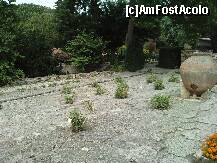 [P14] Alta zona a gradinii castelului din Balcik » foto by essib*
 - 
<span class="allrVoted glyphicon glyphicon-heart hidden" id="av287733"></span>
<a class="m-l-10 hidden" id="sv287733" onclick="voting_Foto_DelVot(,287733,3210)" role="button">șterge vot <span class="glyphicon glyphicon-remove"></span></a>
<a id="v9287733" class=" c-red"  onclick="voting_Foto_SetVot(287733)" role="button"><span class="glyphicon glyphicon-heart-empty"></span> <b>LIKE</b> = Votează poza</a> <img class="hidden"  id="f287733W9" src="/imagini/loader.gif" border="0" /><span class="AjErrMes hidden" id="e287733ErM"></span>