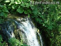 [P15] Cascada vazuta din partea de sus » foto by corinne
 - 
<span class="allrVoted glyphicon glyphicon-heart hidden" id="av79224"></span>
<a class="m-l-10 hidden" id="sv79224" onclick="voting_Foto_DelVot(,79224,3210)" role="button">șterge vot <span class="glyphicon glyphicon-remove"></span></a>
<a id="v979224" class=" c-red"  onclick="voting_Foto_SetVot(79224)" role="button"><span class="glyphicon glyphicon-heart-empty"></span> <b>LIKE</b> = Votează poza</a> <img class="hidden"  id="f79224W9" src="/imagini/loader.gif" border="0" /><span class="AjErrMes hidden" id="e79224ErM"></span>