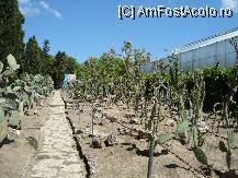 [P06] Gradina cu cactusi sau 'Gradina lui Allah' » foto by corinne
 - 
<span class="allrVoted glyphicon glyphicon-heart hidden" id="av79201"></span>
<a class="m-l-10 hidden" id="sv79201" onclick="voting_Foto_DelVot(,79201,3210)" role="button">șterge vot <span class="glyphicon glyphicon-remove"></span></a>
<a id="v979201" class=" c-red"  onclick="voting_Foto_SetVot(79201)" role="button"><span class="glyphicon glyphicon-heart-empty"></span> <b>LIKE</b> = Votează poza</a> <img class="hidden"  id="f79201W9" src="/imagini/loader.gif" border="0" /><span class="AjErrMes hidden" id="e79201ErM"></span>