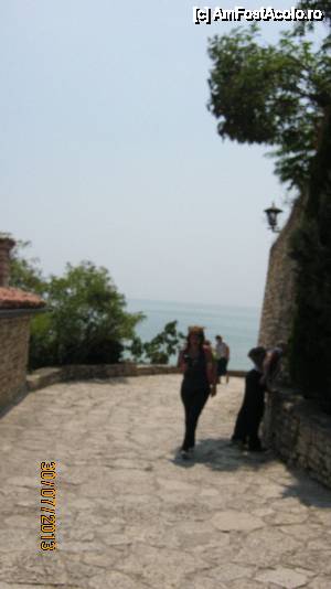 [P15] STRADA PRINCIPALA A DOMENIULUI » foto by ile57b
 - 
<span class="allrVoted glyphicon glyphicon-heart hidden" id="av476915"></span>
<a class="m-l-10 hidden" id="sv476915" onclick="voting_Foto_DelVot(,476915,3210)" role="button">șterge vot <span class="glyphicon glyphicon-remove"></span></a>
<a id="v9476915" class=" c-red"  onclick="voting_Foto_SetVot(476915)" role="button"><span class="glyphicon glyphicon-heart-empty"></span> <b>LIKE</b> = Votează poza</a> <img class="hidden"  id="f476915W9" src="/imagini/loader.gif" border="0" /><span class="AjErrMes hidden" id="e476915ErM"></span>