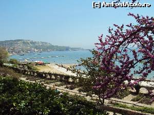 [P03] Vedere panoramica Balcic din curtea palatului » foto by cameliagrozescu
 - 
<span class="allrVoted glyphicon glyphicon-heart hidden" id="av630054"></span>
<a class="m-l-10 hidden" id="sv630054" onclick="voting_Foto_DelVot(,630054,3210)" role="button">șterge vot <span class="glyphicon glyphicon-remove"></span></a>
<a id="v9630054" class=" c-red"  onclick="voting_Foto_SetVot(630054)" role="button"><span class="glyphicon glyphicon-heart-empty"></span> <b>LIKE</b> = Votează poza</a> <img class="hidden"  id="f630054W9" src="/imagini/loader.gif" border="0" /><span class="AjErrMes hidden" id="e630054ErM"></span>