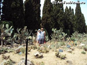 [P04] Zona dedicate cactusilor » foto by cameliagrozescu
 - 
<span class="allrVoted glyphicon glyphicon-heart hidden" id="av630055"></span>
<a class="m-l-10 hidden" id="sv630055" onclick="voting_Foto_DelVot(,630055,3210)" role="button">șterge vot <span class="glyphicon glyphicon-remove"></span></a>
<a id="v9630055" class=" c-red"  onclick="voting_Foto_SetVot(630055)" role="button"><span class="glyphicon glyphicon-heart-empty"></span> <b>LIKE</b> = Votează poza</a> <img class="hidden"  id="f630055W9" src="/imagini/loader.gif" border="0" /><span class="AjErrMes hidden" id="e630055ErM"></span>