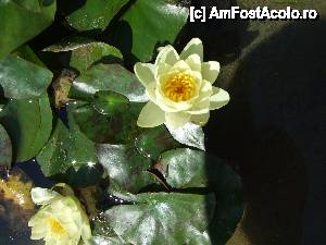 [P14]  -- <small>// FĂRĂ DESCRIERE</small> » foto by iman
 - 
<span class="allrVoted glyphicon glyphicon-heart hidden" id="av390938"></span>
<a class="m-l-10 hidden" id="sv390938" onclick="voting_Foto_DelVot(,390938,3210)" role="button">șterge vot <span class="glyphicon glyphicon-remove"></span></a>
<a id="v9390938" class=" c-red"  onclick="voting_Foto_SetVot(390938)" role="button"><span class="glyphicon glyphicon-heart-empty"></span> <b>LIKE</b> = Votează poza</a> <img class="hidden"  id="f390938W9" src="/imagini/loader.gif" border="0" /><span class="AjErrMes hidden" id="e390938ErM"></span>