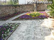 [P20] aranjamente florale » foto by bogdan 75
 - 
<span class="allrVoted glyphicon glyphicon-heart hidden" id="av47798"></span>
<a class="m-l-10 hidden" id="sv47798" onclick="voting_Foto_DelVot(,47798,3210)" role="button">șterge vot <span class="glyphicon glyphicon-remove"></span></a>
<a id="v947798" class=" c-red"  onclick="voting_Foto_SetVot(47798)" role="button"><span class="glyphicon glyphicon-heart-empty"></span> <b>LIKE</b> = Votează poza</a> <img class="hidden"  id="f47798W9" src="/imagini/loader.gif" border="0" /><span class="AjErrMes hidden" id="e47798ErM"></span>