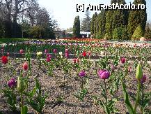 [P23]  -- <small>// FĂRĂ DESCRIERE</small> » foto by bogdan 75
 - 
<span class="allrVoted glyphicon glyphicon-heart hidden" id="av47803"></span>
<a class="m-l-10 hidden" id="sv47803" onclick="voting_Foto_DelVot(,47803,3210)" role="button">șterge vot <span class="glyphicon glyphicon-remove"></span></a>
<a id="v947803" class=" c-red"  onclick="voting_Foto_SetVot(47803)" role="button"><span class="glyphicon glyphicon-heart-empty"></span> <b>LIKE</b> = Votează poza</a> <img class="hidden"  id="f47803W9" src="/imagini/loader.gif" border="0" /><span class="AjErrMes hidden" id="e47803ErM"></span>