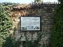 [P03]  -- <small>// FĂRĂ DESCRIERE</small> » foto by bogdan 75
 - 
<span class="allrVoted glyphicon glyphicon-heart hidden" id="av47774"></span>
<a class="m-l-10 hidden" id="sv47774" onclick="voting_Foto_DelVot(,47774,3210)" role="button">șterge vot <span class="glyphicon glyphicon-remove"></span></a>
<a id="v947774" class=" c-red"  onclick="voting_Foto_SetVot(47774)" role="button"><span class="glyphicon glyphicon-heart-empty"></span> <b>LIKE</b> = Votează poza</a> <img class="hidden"  id="f47774W9" src="/imagini/loader.gif" border="0" /><span class="AjErrMes hidden" id="e47774ErM"></span>