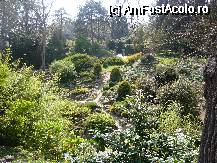 [P04] imagine din gradina » foto by bogdan 75
 - 
<span class="allrVoted glyphicon glyphicon-heart hidden" id="av47775"></span>
<a class="m-l-10 hidden" id="sv47775" onclick="voting_Foto_DelVot(,47775,3210)" role="button">șterge vot <span class="glyphicon glyphicon-remove"></span></a>
<a id="v947775" class=" c-red"  onclick="voting_Foto_SetVot(47775)" role="button"><span class="glyphicon glyphicon-heart-empty"></span> <b>LIKE</b> = Votează poza</a> <img class="hidden"  id="f47775W9" src="/imagini/loader.gif" border="0" /><span class="AjErrMes hidden" id="e47775ErM"></span>