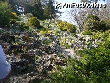 [P05]  -- <small>// FĂRĂ DESCRIERE</small> » foto by bogdan 75
 - 
<span class="allrVoted glyphicon glyphicon-heart hidden" id="av47776"></span>
<a class="m-l-10 hidden" id="sv47776" onclick="voting_Foto_DelVot(,47776,3210)" role="button">șterge vot <span class="glyphicon glyphicon-remove"></span></a>
<a id="v947776" class=" c-red"  onclick="voting_Foto_SetVot(47776)" role="button"><span class="glyphicon glyphicon-heart-empty"></span> <b>LIKE</b> = Votează poza</a> <img class="hidden"  id="f47776W9" src="/imagini/loader.gif" border="0" /><span class="AjErrMes hidden" id="e47776ErM"></span>