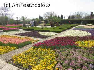 [P11] Segmente florale de aprilie în Grădina Botanică » foto by Michi
 - 
<span class="allrVoted glyphicon glyphicon-heart hidden" id="av1363933"></span>
<a class="m-l-10 hidden" id="sv1363933" onclick="voting_Foto_DelVot(,1363933,3210)" role="button">șterge vot <span class="glyphicon glyphicon-remove"></span></a>
<a id="v91363933" class=" c-red"  onclick="voting_Foto_SetVot(1363933)" role="button"><span class="glyphicon glyphicon-heart-empty"></span> <b>LIKE</b> = Votează poza</a> <img class="hidden"  id="f1363933W9" src="/imagini/loader.gif" border="0" /><span class="AjErrMes hidden" id="e1363933ErM"></span>