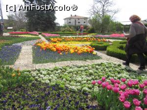 [P12] Segmente florale de aprilie în Grădina Botanică » foto by Michi
 - 
<span class="allrVoted glyphicon glyphicon-heart hidden" id="av1363934"></span>
<a class="m-l-10 hidden" id="sv1363934" onclick="voting_Foto_DelVot(,1363934,3210)" role="button">șterge vot <span class="glyphicon glyphicon-remove"></span></a>
<a id="v91363934" class=" c-red"  onclick="voting_Foto_SetVot(1363934)" role="button"><span class="glyphicon glyphicon-heart-empty"></span> <b>LIKE</b> = Votează poza</a> <img class="hidden"  id="f1363934W9" src="/imagini/loader.gif" border="0" /><span class="AjErrMes hidden" id="e1363934ErM"></span>