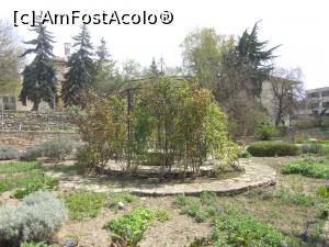 [P08] Grădina Botanică » foto by Michi
 - 
<span class="allrVoted glyphicon glyphicon-heart hidden" id="av1363930"></span>
<a class="m-l-10 hidden" id="sv1363930" onclick="voting_Foto_DelVot(,1363930,3210)" role="button">șterge vot <span class="glyphicon glyphicon-remove"></span></a>
<a id="v91363930" class=" c-red"  onclick="voting_Foto_SetVot(1363930)" role="button"><span class="glyphicon glyphicon-heart-empty"></span> <b>LIKE</b> = Votează poza</a> <img class="hidden"  id="f1363930W9" src="/imagini/loader.gif" border="0" /><span class="AjErrMes hidden" id="e1363930ErM"></span>
