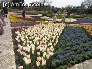 [P09] Segmente florale de aprilie în Grădina Botanică » foto by Michi
 - 
<span class="allrVoted glyphicon glyphicon-heart hidden" id="av1363931"></span>
<a class="m-l-10 hidden" id="sv1363931" onclick="voting_Foto_DelVot(,1363931,3210)" role="button">șterge vot <span class="glyphicon glyphicon-remove"></span></a>
<a id="v91363931" class=" c-red"  onclick="voting_Foto_SetVot(1363931)" role="button"><span class="glyphicon glyphicon-heart-empty"></span> <b>LIKE</b> = Votează poza</a> <img class="hidden"  id="f1363931W9" src="/imagini/loader.gif" border="0" /><span class="AjErrMes hidden" id="e1363931ErM"></span>