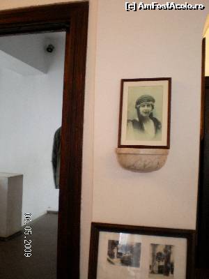 [P10] Multe fotografii cu Regina în interiorul Cuibului Liniştit » foto by irinad
 - 
<span class="allrVoted glyphicon glyphicon-heart hidden" id="av652396"></span>
<a class="m-l-10 hidden" id="sv652396" onclick="voting_Foto_DelVot(,652396,3210)" role="button">șterge vot <span class="glyphicon glyphicon-remove"></span></a>
<a id="v9652396" class=" c-red"  onclick="voting_Foto_SetVot(652396)" role="button"><span class="glyphicon glyphicon-heart-empty"></span> <b>LIKE</b> = Votează poza</a> <img class="hidden"  id="f652396W9" src="/imagini/loader.gif" border="0" /><span class="AjErrMes hidden" id="e652396ErM"></span>