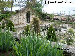 [P21] Aleea cu crini regali, deocamdată neînfloriţi » foto by irinad
 - 
<span class="allrVoted glyphicon glyphicon-heart hidden" id="av652407"></span>
<a class="m-l-10 hidden" id="sv652407" onclick="voting_Foto_DelVot(,652407,3210)" role="button">șterge vot <span class="glyphicon glyphicon-remove"></span></a>
<a id="v9652407" class=" c-red"  onclick="voting_Foto_SetVot(652407)" role="button"><span class="glyphicon glyphicon-heart-empty"></span> <b>LIKE</b> = Votează poza</a> <img class="hidden"  id="f652407W9" src="/imagini/loader.gif" border="0" /><span class="AjErrMes hidden" id="e652407ErM"></span>