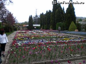 [P30] Covoare de flori în Grădina lui Allah » foto by irinad
 - 
<span class="allrVoted glyphicon glyphicon-heart hidden" id="av652430"></span>
<a class="m-l-10 hidden" id="sv652430" onclick="voting_Foto_DelVot(,652430,3210)" role="button">șterge vot <span class="glyphicon glyphicon-remove"></span></a>
<a id="v9652430" class=" c-red"  onclick="voting_Foto_SetVot(652430)" role="button"><span class="glyphicon glyphicon-heart-empty"></span> <b>LIKE</b> = Votează poza</a> <img class="hidden"  id="f652430W9" src="/imagini/loader.gif" border="0" /><span class="AjErrMes hidden" id="e652430ErM"></span>