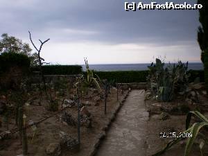 [P31] Felurite specii de cactuşi renumiţi la Balcic » foto by irinad
 - 
<span class="allrVoted glyphicon glyphicon-heart hidden" id="av652431"></span>
<a class="m-l-10 hidden" id="sv652431" onclick="voting_Foto_DelVot(,652431,3210)" role="button">șterge vot <span class="glyphicon glyphicon-remove"></span></a>
<a id="v9652431" class=" c-red"  onclick="voting_Foto_SetVot(652431)" role="button"><span class="glyphicon glyphicon-heart-empty"></span> <b>LIKE</b> = Votează poza</a> <img class="hidden"  id="f652431W9" src="/imagini/loader.gif" border="0" /><span class="AjErrMes hidden" id="e652431ErM"></span>