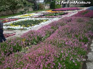 [P34] Alte covoare de flori din Grădina lui Allah » foto by irinad
 - 
<span class="allrVoted glyphicon glyphicon-heart hidden" id="av652434"></span>
<a class="m-l-10 hidden" id="sv652434" onclick="voting_Foto_DelVot(,652434,3210)" role="button">șterge vot <span class="glyphicon glyphicon-remove"></span></a>
<a id="v9652434" class=" c-red"  onclick="voting_Foto_SetVot(652434)" role="button"><span class="glyphicon glyphicon-heart-empty"></span> <b>LIKE</b> = Votează poza</a> <img class="hidden"  id="f652434W9" src="/imagini/loader.gif" border="0" /><span class="AjErrMes hidden" id="e652434ErM"></span>