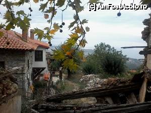 [P17] P. Panteleimonas - Ratacind prin sat » foto by dannaa
 - 
<span class="allrVoted glyphicon glyphicon-heart hidden" id="av564586"></span>
<a class="m-l-10 hidden" id="sv564586" onclick="voting_Foto_DelVot(,564586,3215)" role="button">șterge vot <span class="glyphicon glyphicon-remove"></span></a>
<a id="v9564586" class=" c-red"  onclick="voting_Foto_SetVot(564586)" role="button"><span class="glyphicon glyphicon-heart-empty"></span> <b>LIKE</b> = Votează poza</a> <img class="hidden"  id="f564586W9" src="/imagini/loader.gif" border="0" /><span class="AjErrMes hidden" id="e564586ErM"></span>