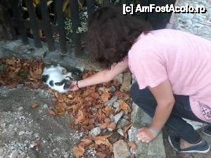 [P20] Pisicile, atat de indragite in Grecia » foto by dannaa
 - 
<span class="allrVoted glyphicon glyphicon-heart hidden" id="av564589"></span>
<a class="m-l-10 hidden" id="sv564589" onclick="voting_Foto_DelVot(,564589,3215)" role="button">șterge vot <span class="glyphicon glyphicon-remove"></span></a>
<a id="v9564589" class=" c-red"  onclick="voting_Foto_SetVot(564589)" role="button"><span class="glyphicon glyphicon-heart-empty"></span> <b>LIKE</b> = Votează poza</a> <img class="hidden"  id="f564589W9" src="/imagini/loader.gif" border="0" /><span class="AjErrMes hidden" id="e564589ErM"></span>